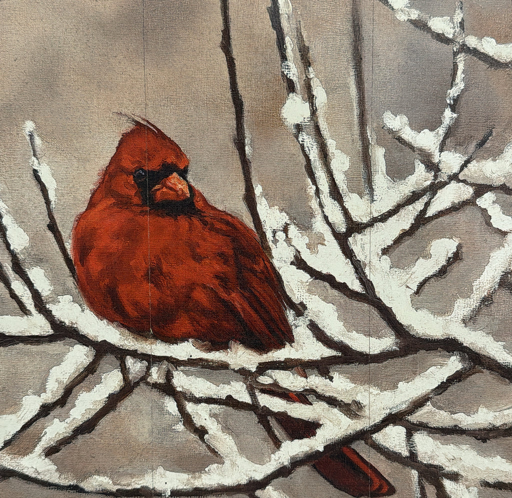 Cardinal on Branch