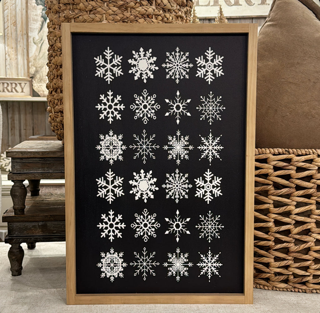 Black/ White Snowflake Framed Art