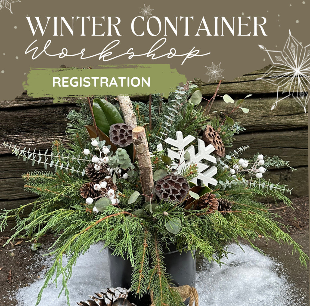 Winter Container Workshop