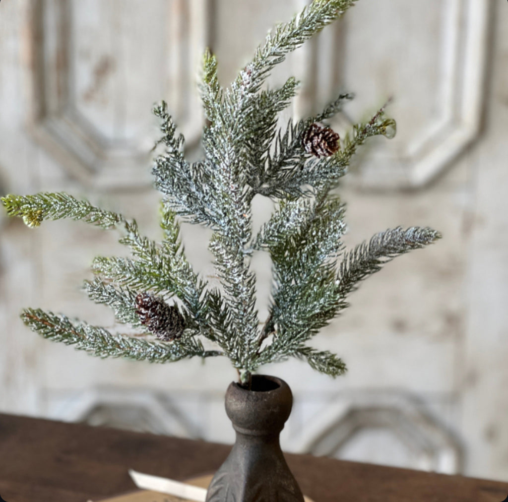 Frosted White Spruce Pick