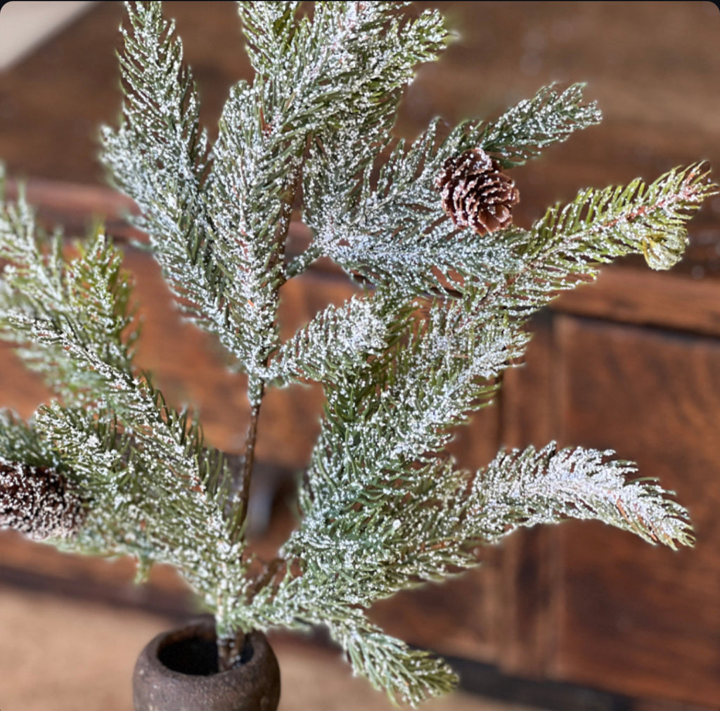 Frosted White Spruce Pick