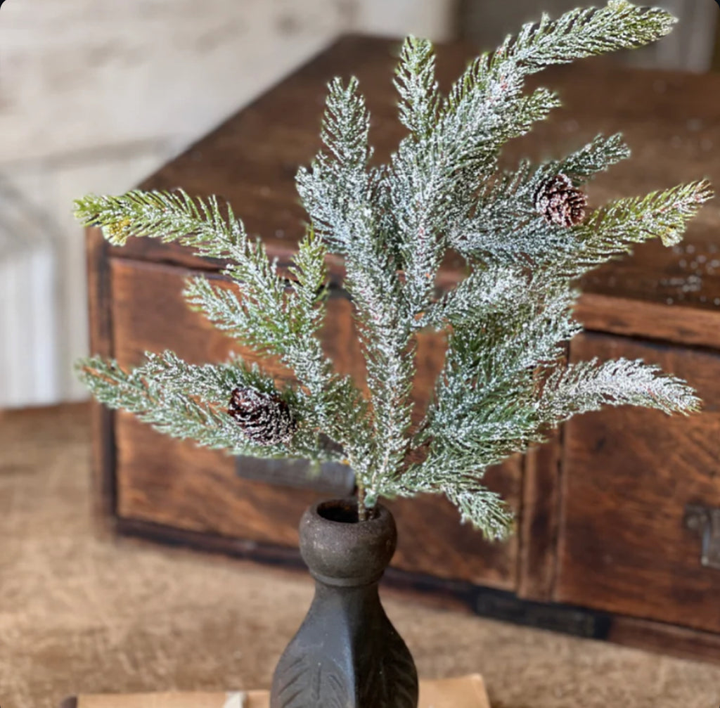 Frosted White Spruce Pick