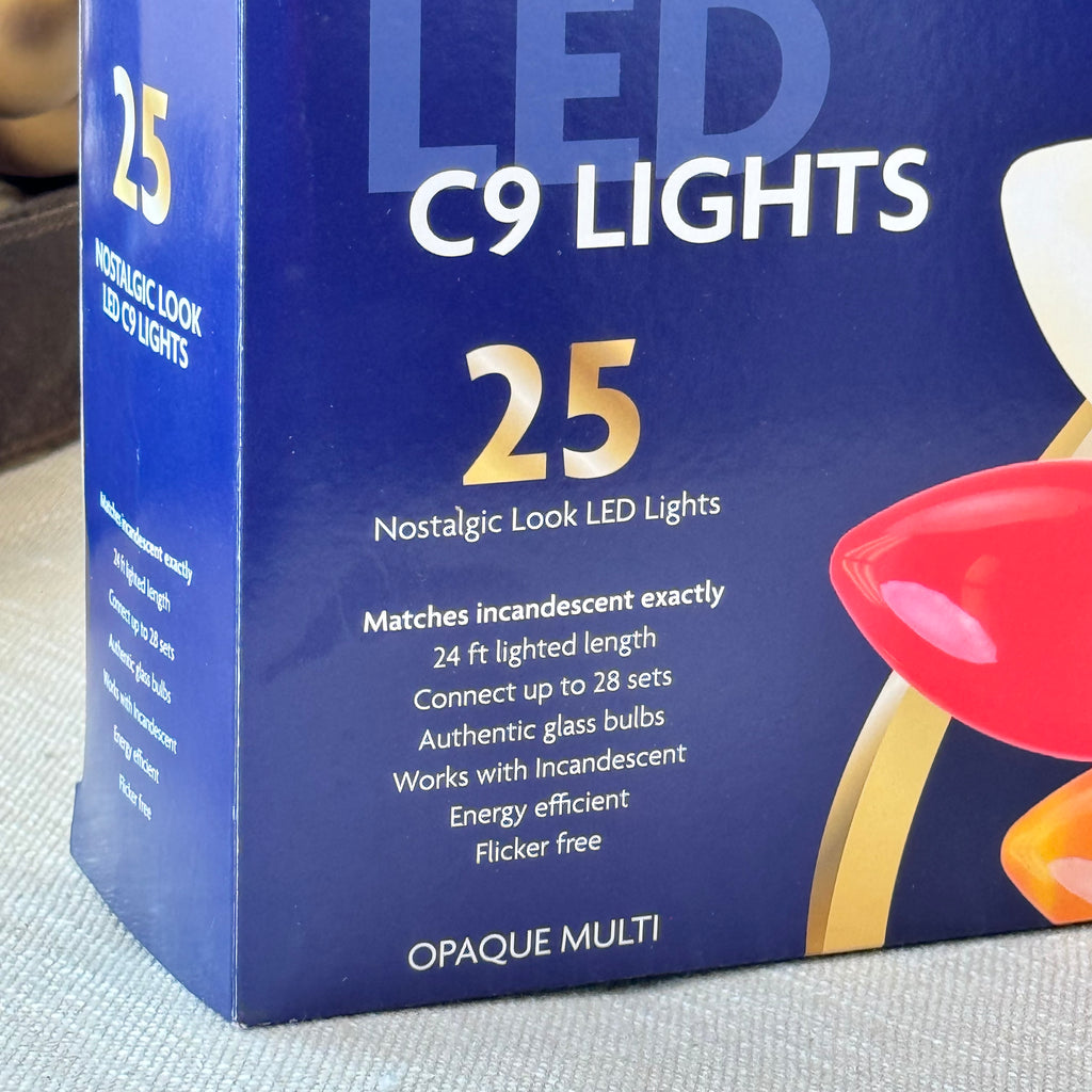 25’ C9 LED Light String (multi or white)