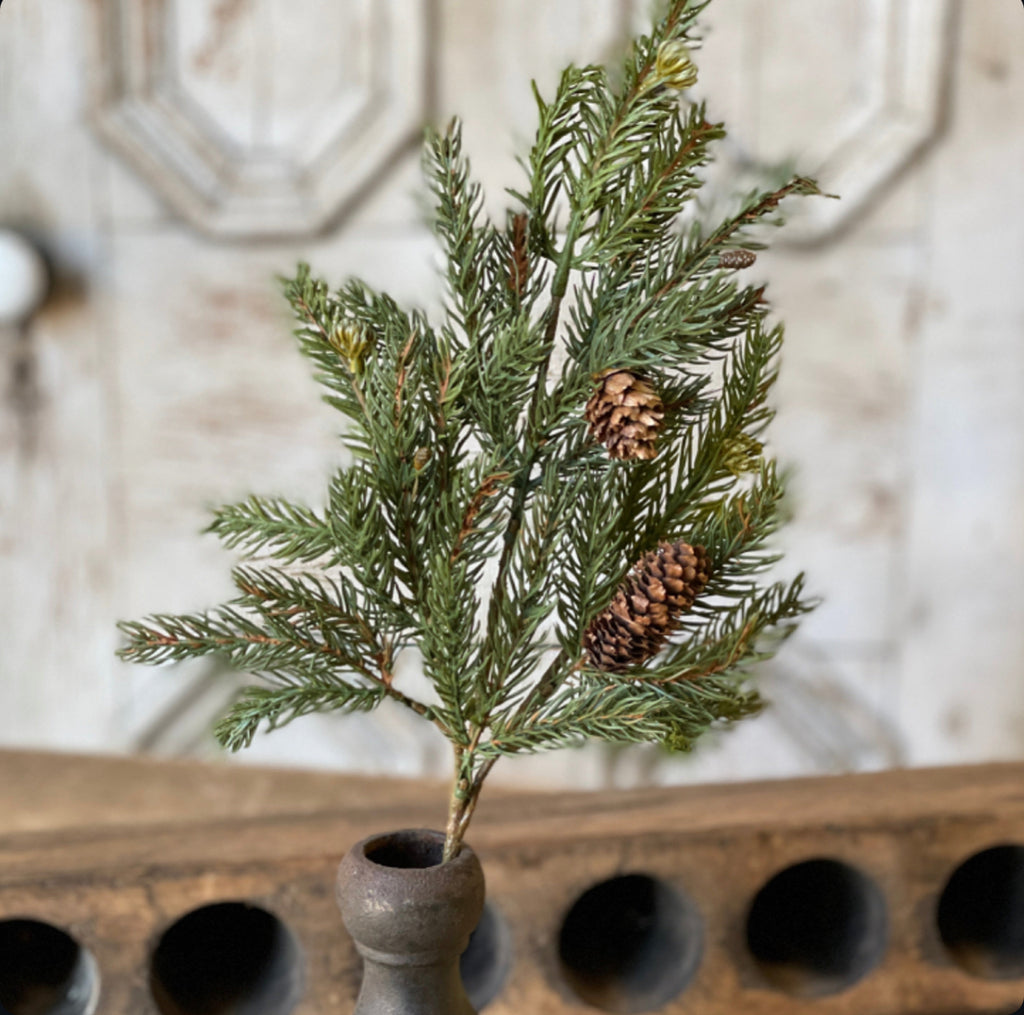 White Spruce Pick