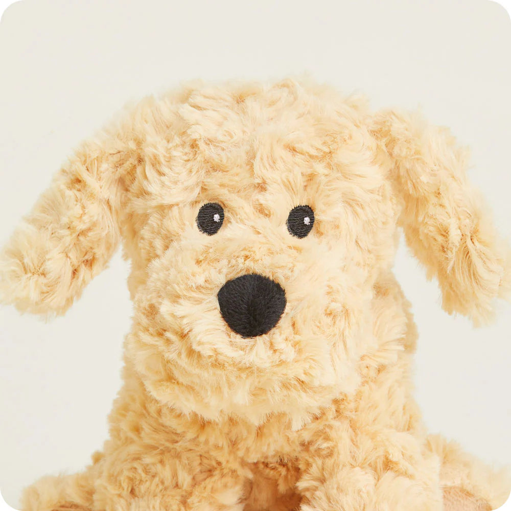 Warmies Jr. - Golden Doodle Dog