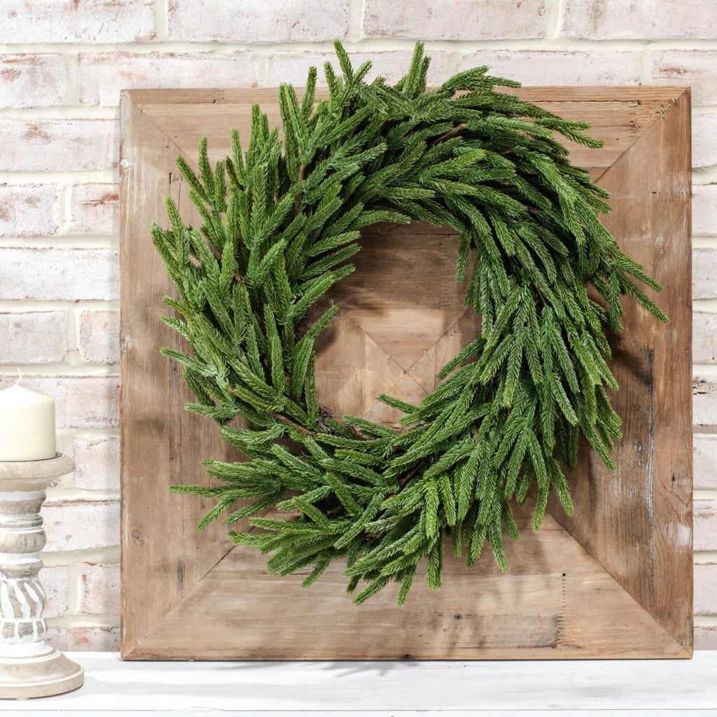 Norfolk Pine Wreath - 22"