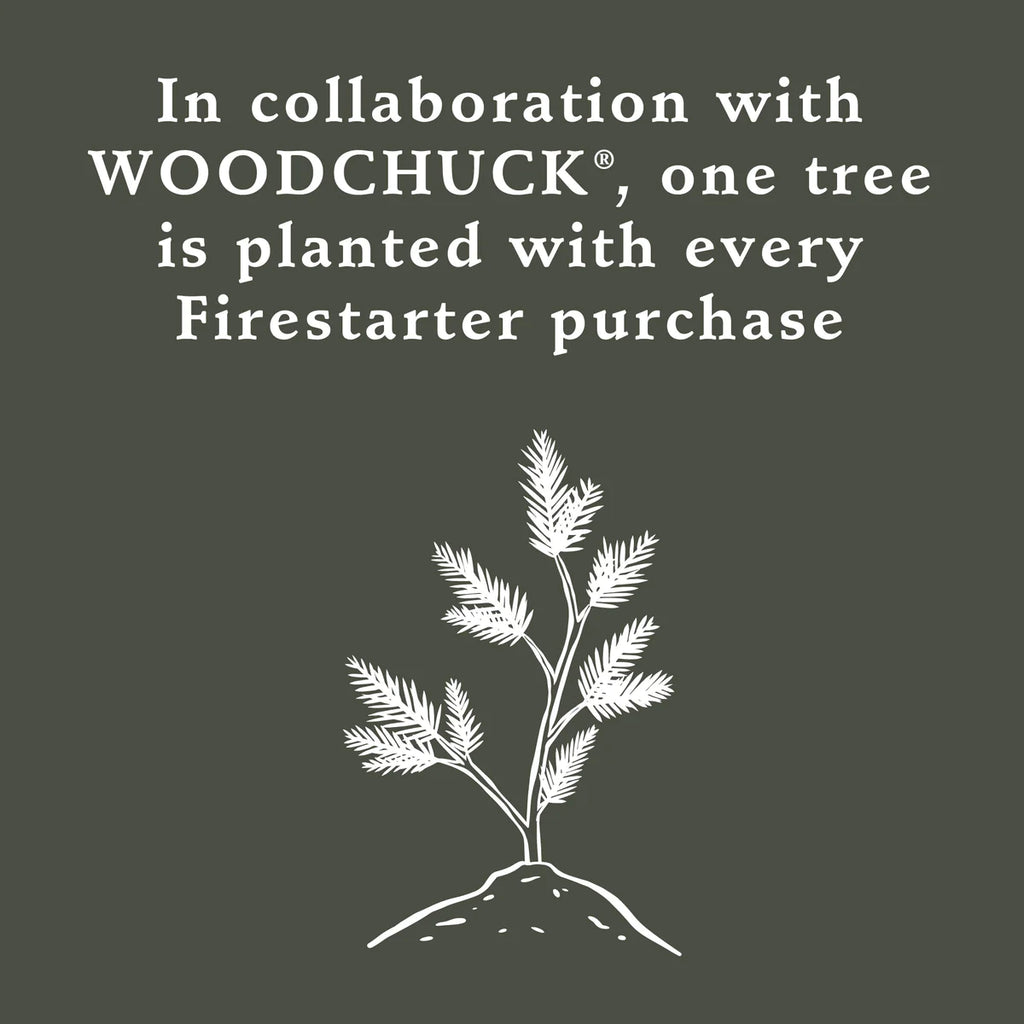 Fragranced Firestarter - Evergreen Forest