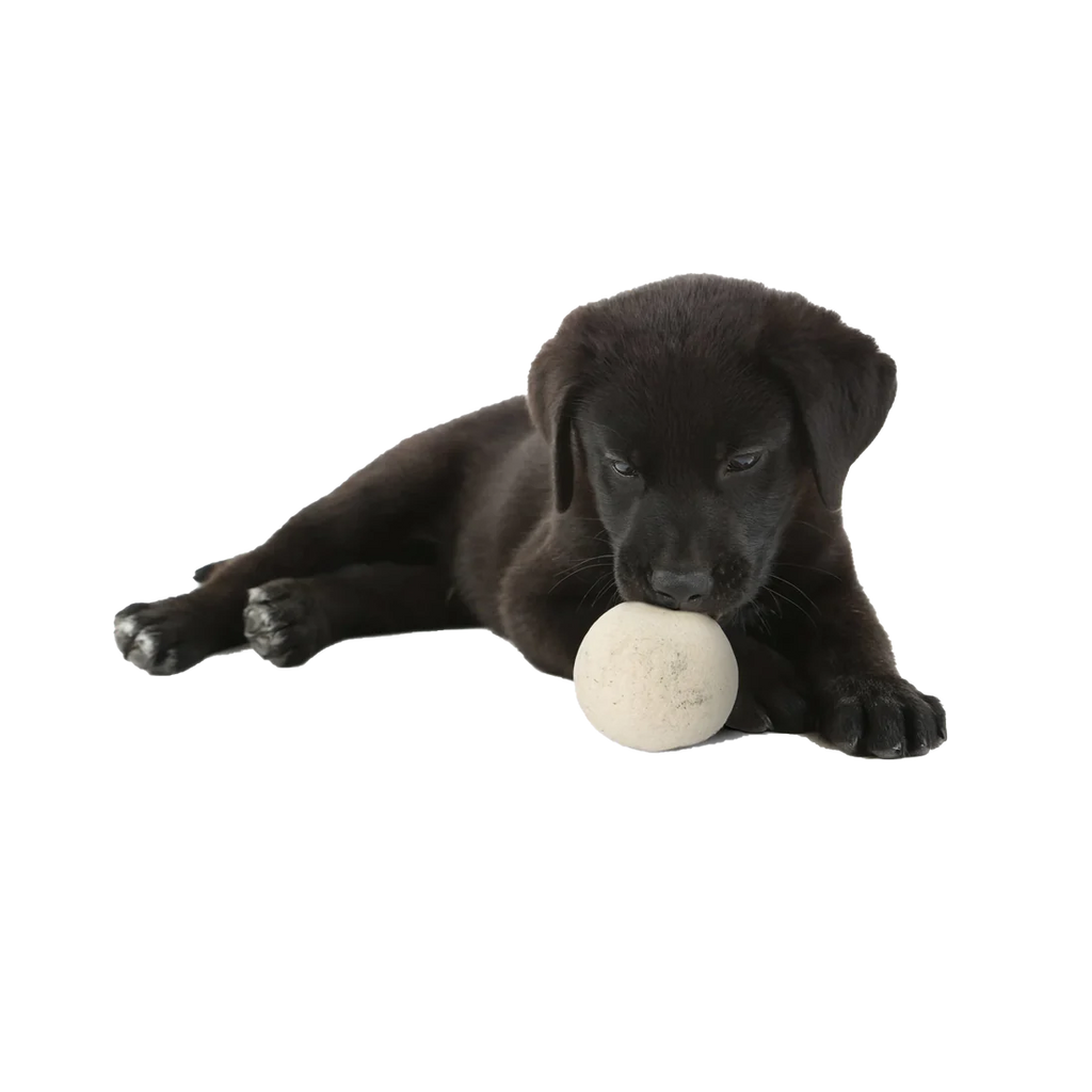 Wool Dog Ball - Set of 2