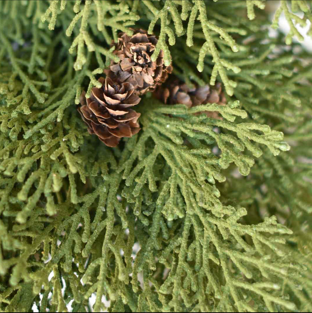 24" Lush Dark Pine Wreath