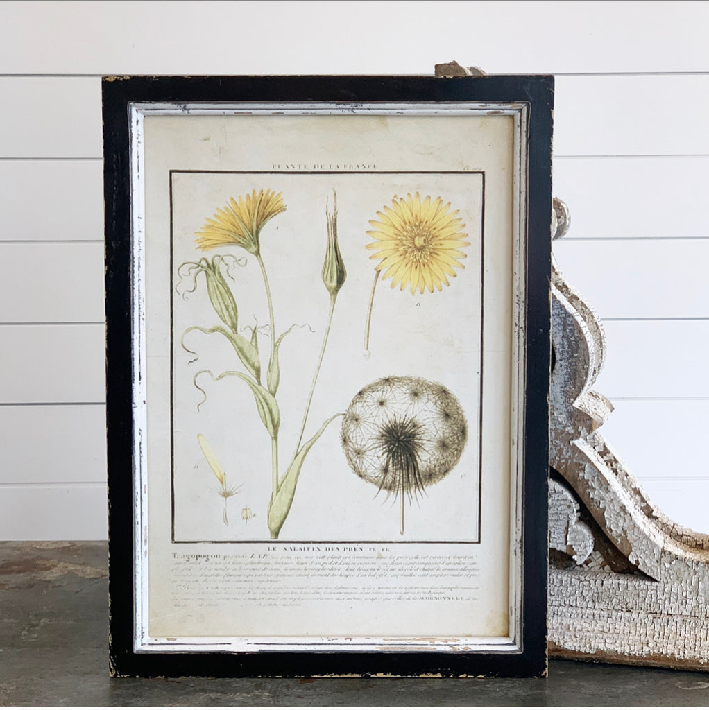 Yellow Botanical Print Collection - 9 Styles