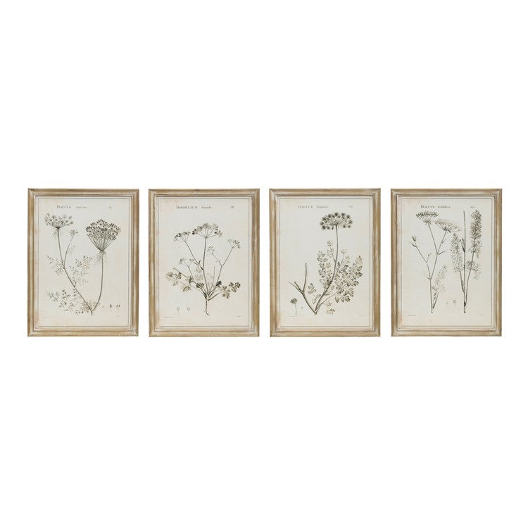 Natural Botanical Print Collection - 4 to Choose From